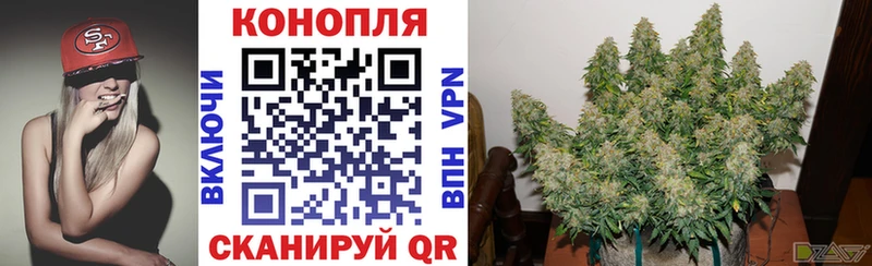 Каннабис MAZAR  Тихорецк 